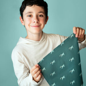 mouchoir-en-tissu-enfant-bleu-emile