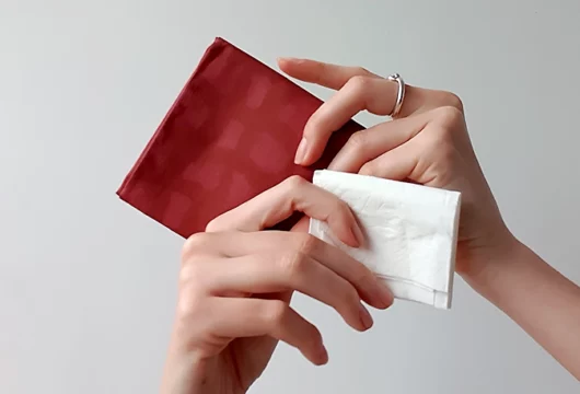 passer-au-mouchoir-tissu