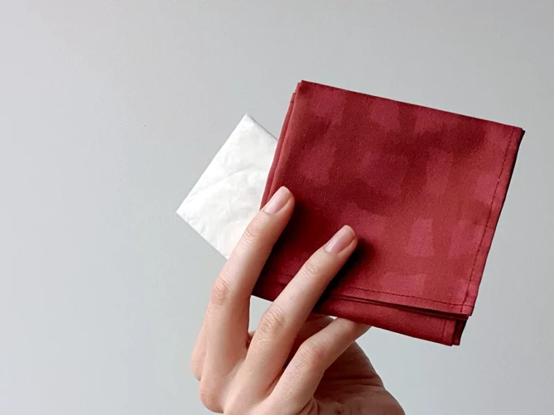 passer-aux-mouchoirs-tissu